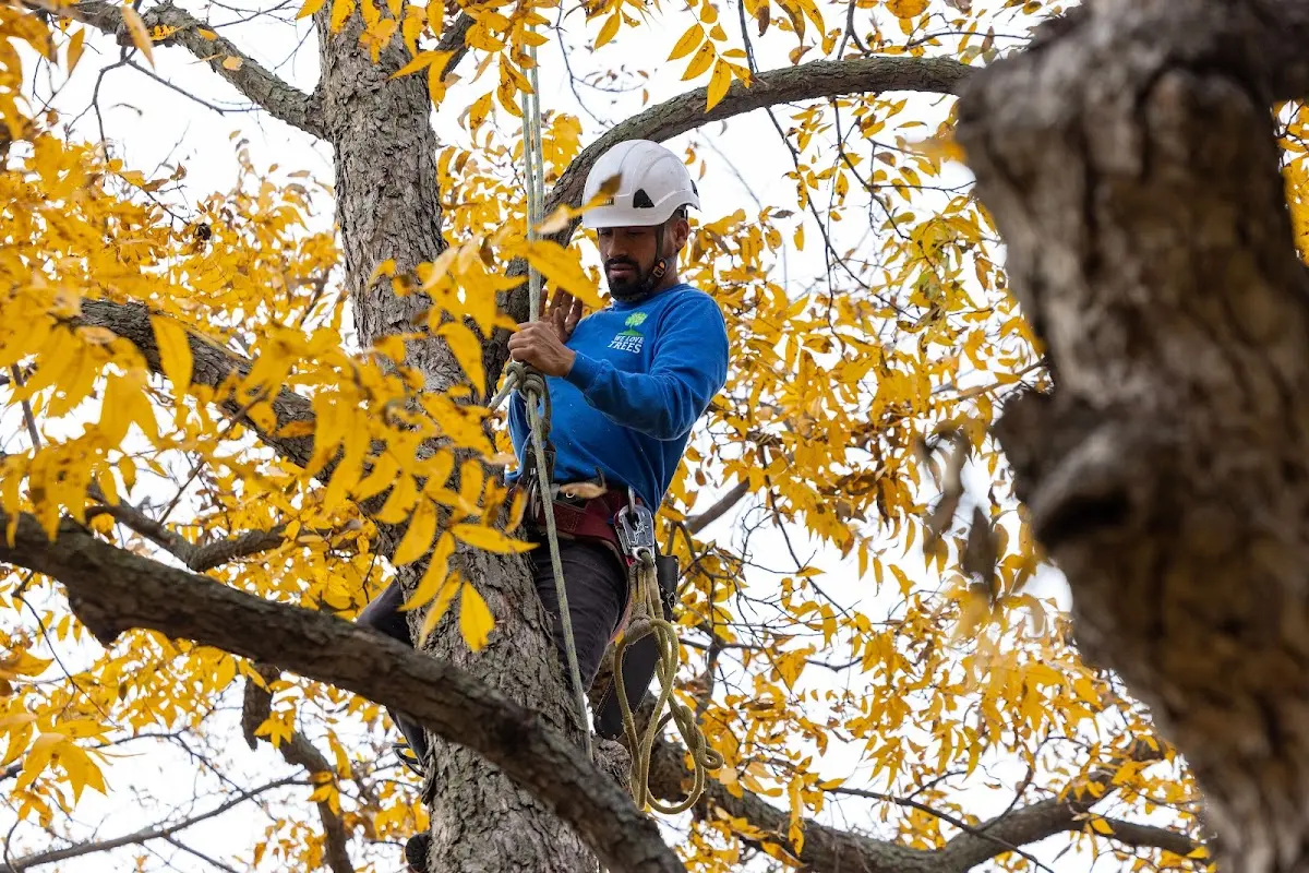 Skilled Storm Damage Cleanup crew working in Red Springs