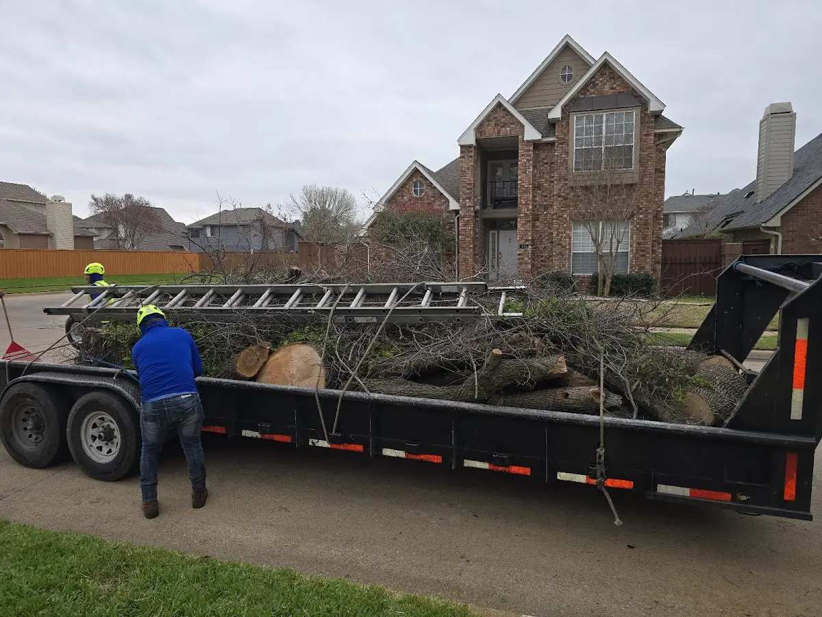 Expert Tree Removal with proper safety equipment in Red Springs